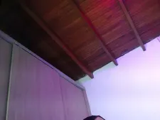 MiaEstrada 16