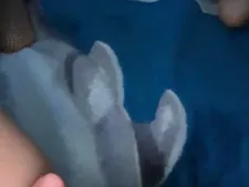 Dilettalovex 161