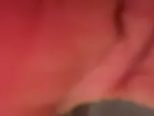 Bustymistres 7