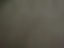 Cicy 11