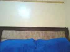 LushBella 17