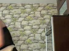 IntroBonny 2